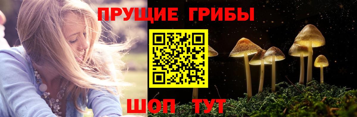 Галлюциногенные грибы Magic Shrooms Сухой Лог